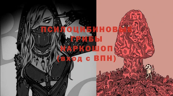 хмурый Алексеевка
