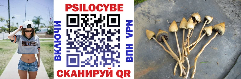 Галлюциногенные грибы прущие грибы  где купить наркоту  Перевоз 